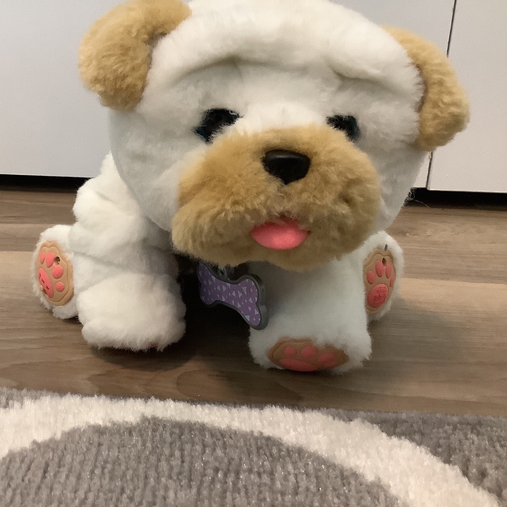 Toy dog, white and brown, Little Live Pets, kids, toys